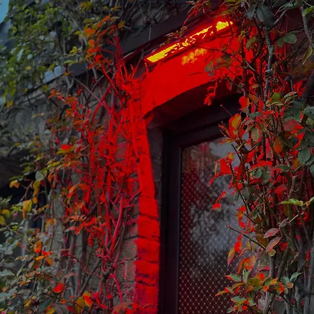 L' Instant Se Crée Love hôtel